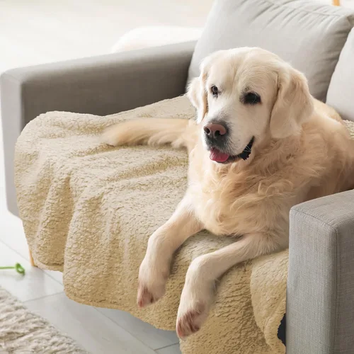 Miniatura 10 de furrybaby Manta Suave Premium para Perros Pequeños, Cachorros y Gatos, Lavable, Forro Polar Sherpa de 24 x 32 Pulgadas, Manta para Mascotas