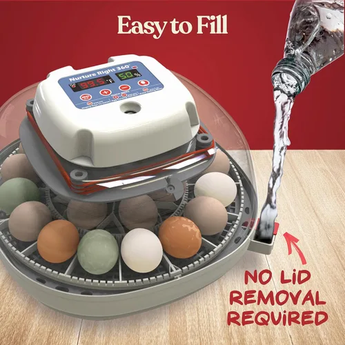 Miniatura 6 de Incubadora de huevos Harris Farms Nurture Right para incubar pollitos, con capacidad para 12-22 huevos, con volteador automático y control