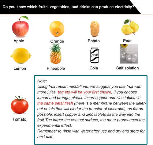 Miniatura 2 de Kit de experimento de batería de frutas EUDAX para equipo de enseñanza escolar y en casa de bricolaje, kit de proyecto de ciencia de reloj