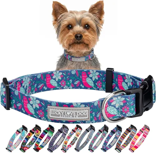 Miniatura 52 de Lucky Love Dog - Collar para perras pequeñas, diseño Blackbird de estampado alegre con flores de primavera y verano, talla XS