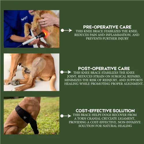 Miniatura 3 de Rodillera ajustable para perro para desgarro del ligamento cruzado anterior y rótula luxante, soporte para pierna trasera, displasia de cadera