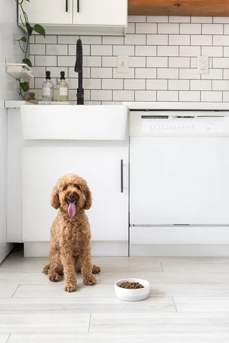 Miniatura 6 de Pearhead Ceramic Bone Appétit - Cuenco para perros, capacidad para 2 tazas, plato de gres para alimentos y agua, comedero para mascotas gris y Tazón