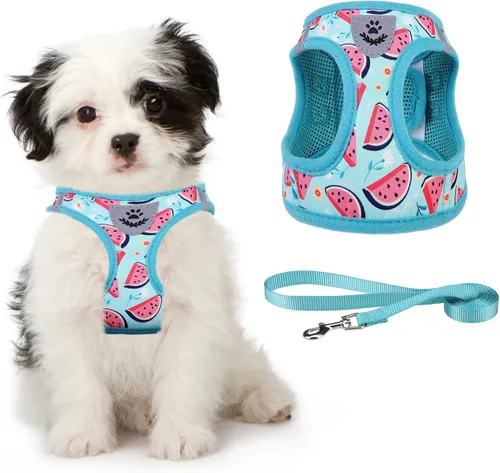 Miniatura 12 de Arnés de malla suave para cachorros – Juego de arnés y correa para perros pequeños, ajustable y cómodo chaleco reflectante acolchado para cachorros