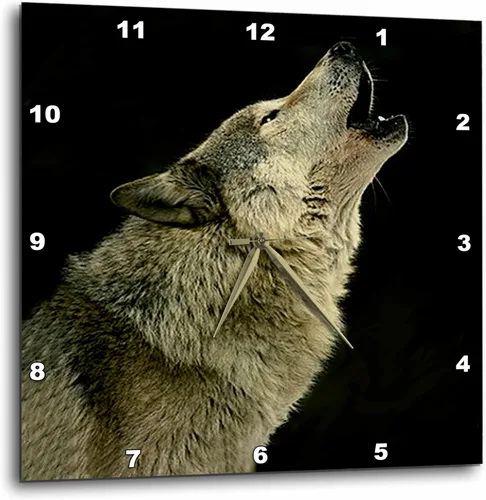 3dRose DPP_724_1 Reloj de pared de lobo de madera, 10 x 10 pulgadas