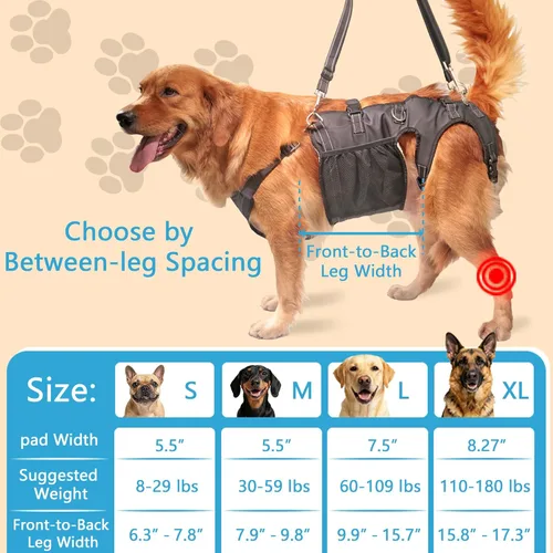 Miniatura 3 de Arnés doble uso para perro SyFatWeen con soporte para las patas traseras y cadera, cabestrillo canino para elevación de perro, ajustable y suave