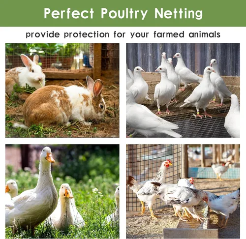 Miniatura 4 de Tongmo Tela Metálica Negra de 48" x 50', Malla de 1 pulgada para Cerca de Gallinero, Red para Aves de Alambre Recubierto de Vinilo Calibre 19