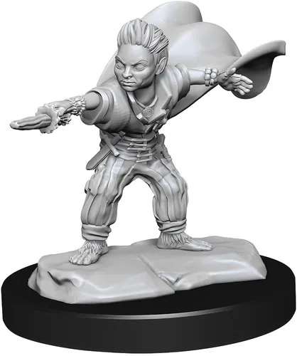 Miniatura 3 de Pathfinder Deep Cuts: Halfling Wizard Male