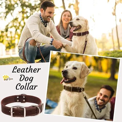 Miniatura 3 de ADITYNA Collar de Cuero Resistente para Perros Grandes - Collar de Cuero Suave y Fuerte para Caminar, Entrenar, Cazar y Correr