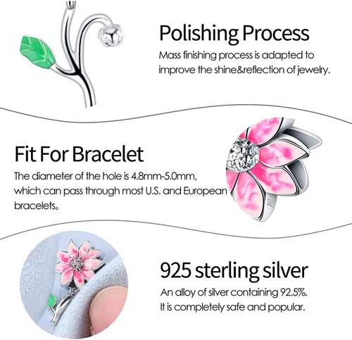 Miniatura 4 de Pandach Dijes de plata de ley 925 para pulsera y collar, colgante con piedras de circonita cúbica 5A, cuentas de joyería, regalos para mujeres