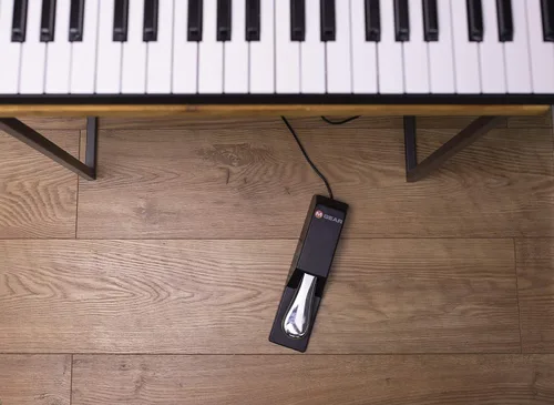 Miniatura 6 de Casio CT-S300 - Paquete de teclado prémium de 61 teclas con soporte, auriculares y fuente de alimentación (CAS CTS300 PPK) y M-Audio SP 2 - Pedal