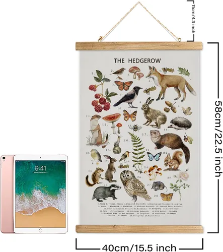 Miniatura 2 de XIAOAIKA Póster Educativo de Vida Silvestre de Seto Británico - Cuadro Ilustrado de la Naturaleza con Marco de Madera - Arte de Pared de Animales