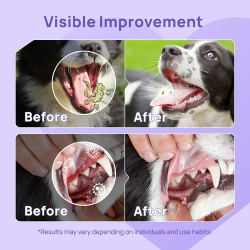 Miniatura 3 de HICC PET Spray de Cuidado Dental para Perros, Refrescante de Aliento Recomendado por Veterinarios y Spray de Limpieza de Dientes, Elimina el Mal