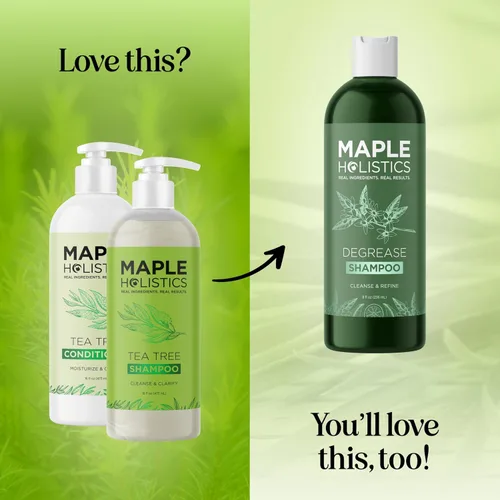 Miniatura 6 de Juego de champú y acondicionador de árbol de té, champú y acondicionador aclarante sin sulfato para el cuidado del cabello graso y el cuero