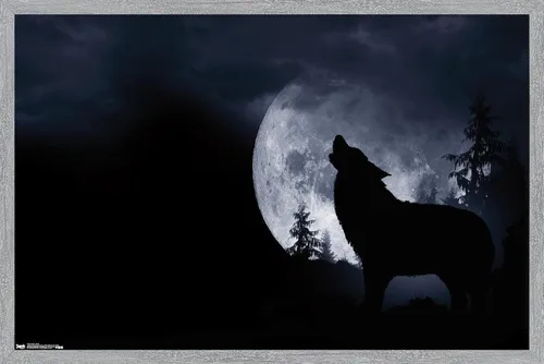 Miniatura 13 de Trends International Póster de pared de lobo - aullido, 14.725 x 22.375 pulgadas, versión enmarcada de madera de granero