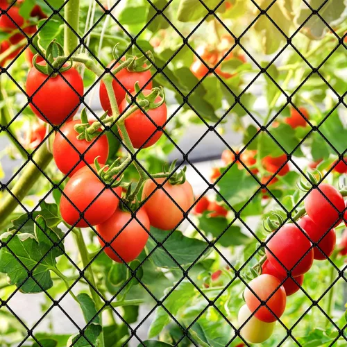Miniatura 7 de Red para pájaros, red de nailon resistente de 25 x 25 pies con malla de 2 pies para protección del jardín, gallinero, árbol frutal, huerto