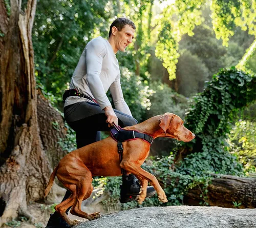 Miniatura 6 de Rogz Arnés deportivo para perros AirTech