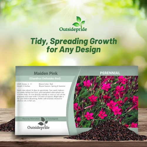 Miniatura 4 de Outsidepride Deltoides Maiden - Semillas de Dianthus rosa para plantar, 5000 unidades, semillas de flores perennes resistentes y fáciles de cultivar