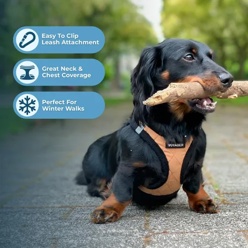 Miniatura 7 de Best Pet Supplies - Arnés para todo clima de malla y felpa, reflectante y antitirones, para perros/gatos pequeños/medianos, cierre de gancho y felpa