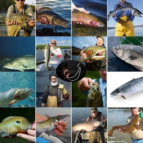 Miniatura 7 de Afmivs Ganchos de gusano para anzuelos de pesca de lubina, 110pcs anzuelos de lubina para pesca, 6 tamaños de ganchos de pesca de agua dulce