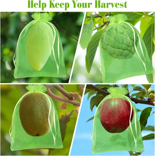 Miniatura 6 de Morcheiong 60 bolsas de protección de 6 x 8 pulgadas, red reutilizable para árboles frutales, malla de jardín con cordón (verde)