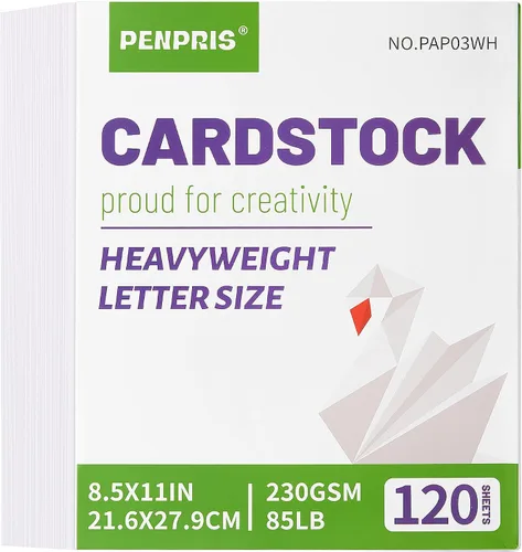 PAP03WH - 120 hojas de cartulina blanca de 8.5 x 11 pulgadas, tamaño carta, papel grueso de 230 gsm/85 libras, papel grueso para álbumes de