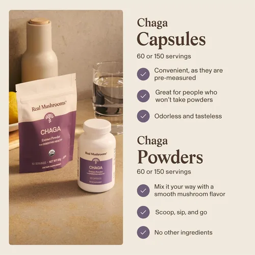 Miniatura 4 de Real Mushrooms Polvo de hongos Chaga – Extracto orgánico de Chaga de cuerpo fructífero – para bienestar y apoyo energético – Vegano, sin OMG, 150