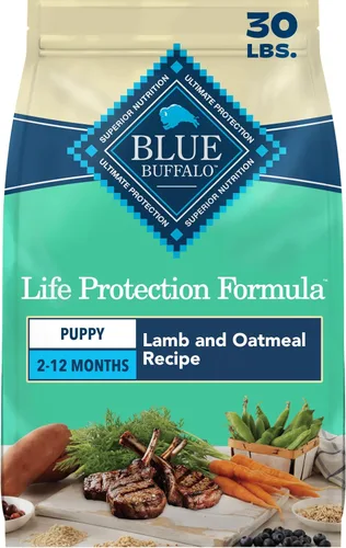 Blue Buffalo Life Protection Formula - Alimento seco para cachorros con DHA y ARA, hecho con ingredientes naturales, receta de cordero y avena,