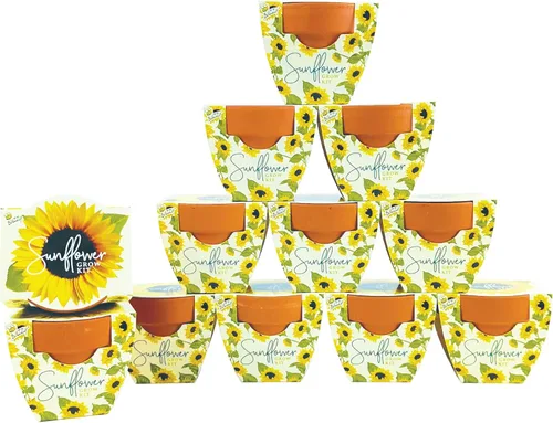 Miniatura 10 de BUZZY Seeds Daydream - Mini macetas de terracota con paquetes de semillas de margarita, juego de iniciación todo en uno con instrucciones medianas