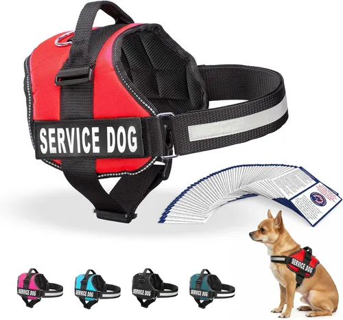 Miniatura 17 de Arnés Industrial Puppy para perros con correas y asa, y chaleco con parche reflectante, en un cómodo diseño de malla, Bright Red 2-Rojo Brillante