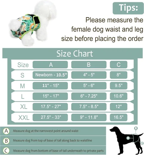 Miniatura 122 de Pañales lavables para perros, para hembras caninas, reutilizables, para periodo de celo, altamente absorbentes, para incontinencia, con broches