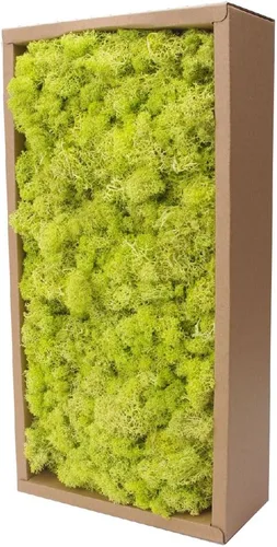 Miniatura 25 de Musgo preservado, musgo de 3.5 onzas para manualidades, decoración de musgo sintético, musgo verde natural para decoración de pared de floristería
