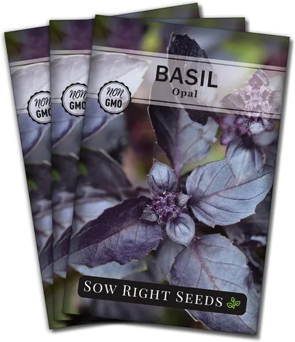 Miniatura 8 de Sow Right Seeds - Semillas de albahaca de ópalo para plantar - Paquete de reliquia sin OMG con instrucciones para plantar en interiores o exteriores