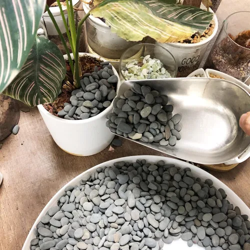 Miniatura 5 de Black Rock, CJGQ - Piedras de río de 3 libras para plantas suculentas, rocas decorativas para jardines de paisajismo al aire libre, piedras