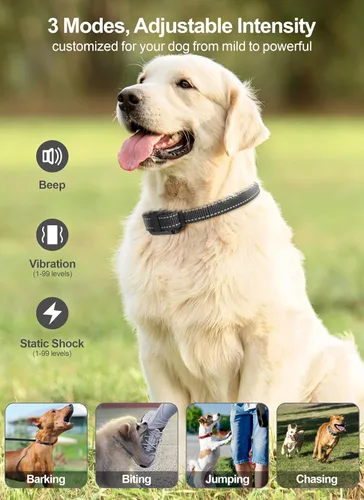 Miniatura 2 de Collar de choque para perro, paquete de 3 – Collar de entrenamiento para perros con control remoto IP65 impermeable E Collar para perros con modos