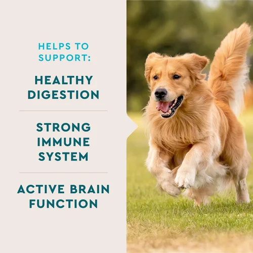 Miniatura 2 de VetIQ Suplemento multivitamínico para perros, apoya la función cerebral activa, el sistema inmunológico y el sistema digestivo, multivitamínico