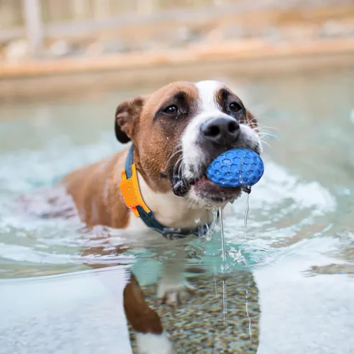 Miniatura 7 de Pelotas chirriantes para perros, juguetes indestructibles para perros masticadores agresivos de razas grandes/medianas, juguetes interactivos