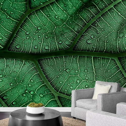 Miniatura 24 de wall26 serie Wall Mural Papel de empapelar autoadhesivo, grande., WMR-WP-X-D986-66x24x4