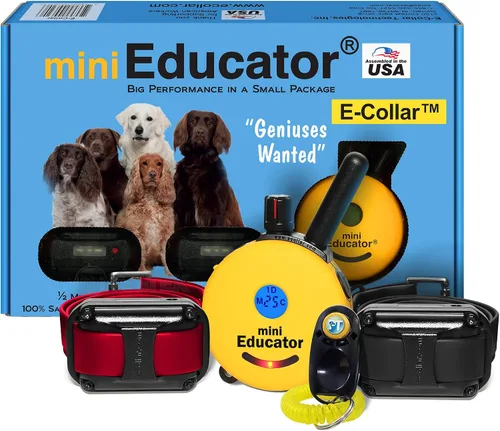 Miniatura 14 de Educator ET-302 Collar Mini Negro E para Adiestramiento de Perros con Control Remoto - Alcance de 1/2 Milla, Resistente al Agua, 100 Niveles