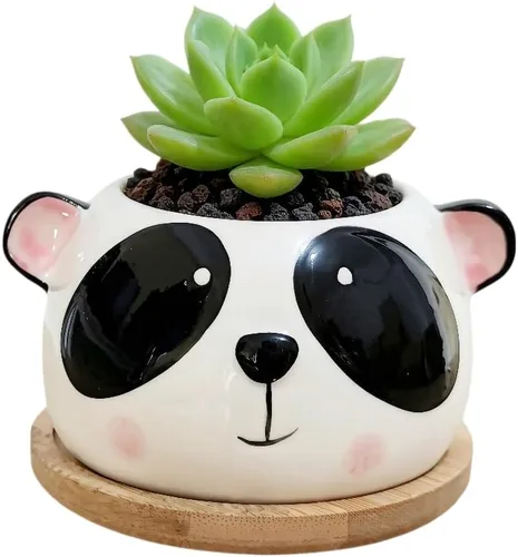Miniatura 15 de Cuteforyou Macetas para suculentas, bonita maceta de cerámica con forma de vaca de dibujos animados para suculentas/cactus/flores, soportes