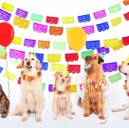 Miniatura 9 de Mini decoraciones de fiesta, decoraciones de fiesta mexicana para fiestas pequeñas, la oficina o incluso la noche de tacos, paquete de 5 mini