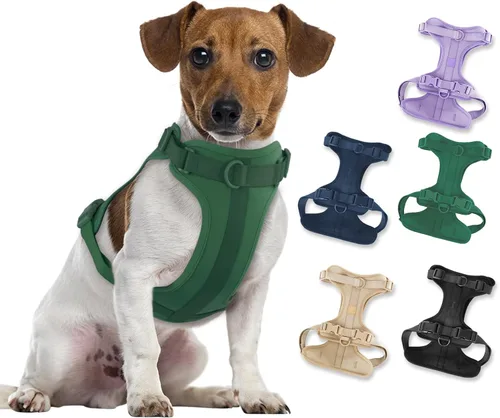 Miniatura 23 de Arnés ligero para perro sin tirones: arnés ajustable y duradero de malla transpirable con cojín suave y cómodo, para perros pequeños, medianos y Lila