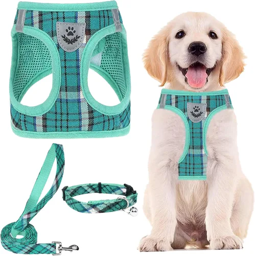 Miniatura 12 de PUPTECK - Arnés, collar y correa ajustables, sin tirones, para perros pequeños y medianos, cachorros y gatos, pechera reflectante acolchada de malla