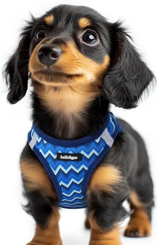 Miniatura 149 de rabbitgoo Arnés para perro pequeño, chaleco de malla suave para cachorros con hebilla de seguridad, arnés reflectante transpirable para mascotas