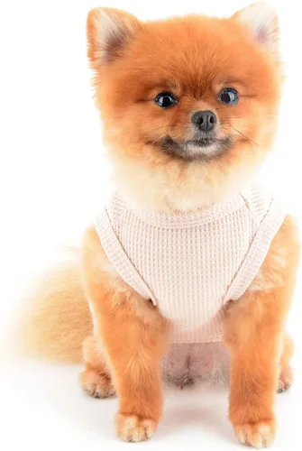Miniatura 3 de SMALLLEE_LUCKY_STORE Camiseta sin mangas de punto gofre con bonito oso para cachorros, para perros pequeños, gatos, niños y niñas, camiseta