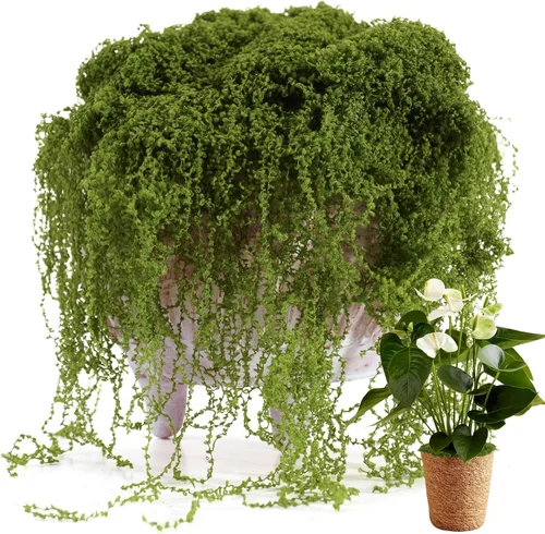 USMOLA Musgo falso para plantas en macetas de interior, musgo verde de 7 onzas para manualidades, decoración realista de musgo sintético para verde