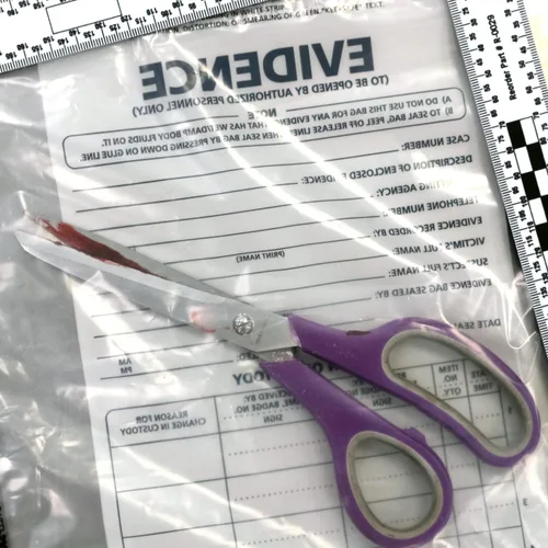 Miniatura 5 de Bolsa de plástico para evidencia, 100 unidades, L