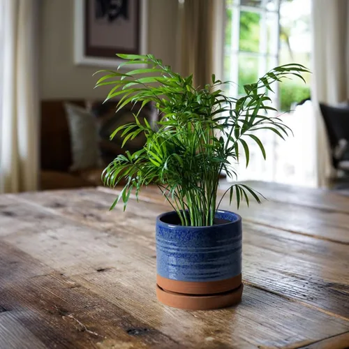Miniatura 5 de HERDUK Macetas para plantas de 6 pulgadas, maceta de cerámica con orificio de drenaje y platillo, maceta cilíndrica redonda para Azul aguamarina