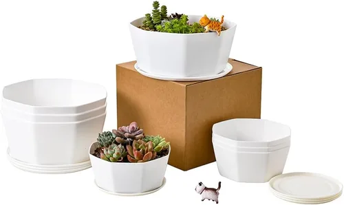 Paquete de 8 macetas de plástico poco profundas de 8.00 pulgadas y 5.90 pulgadas, maceta octágono con bandeja para suculentas, cactus
