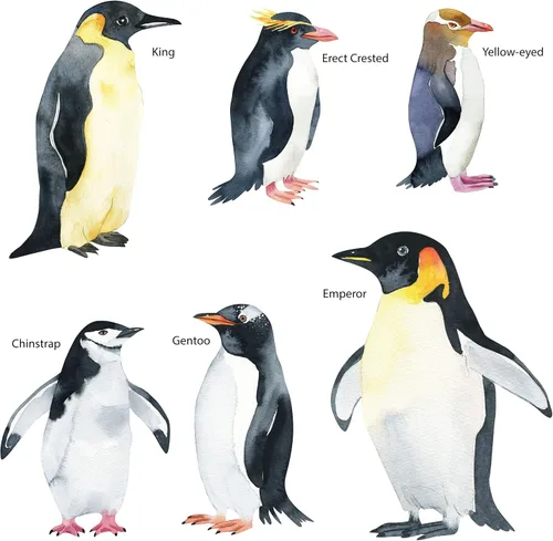 Miniatura 3 de Calcomanías de pingüino de tamaño real, juego de 6 calcomanías de pared realistas de pingüinos