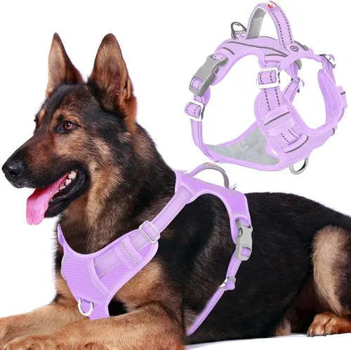 Miniatura 49 de BARKBAY Arnés para perro sin tirones con bolsillo para etiqueta de identificación, resistente, reflectante, fácil control para perros grandes